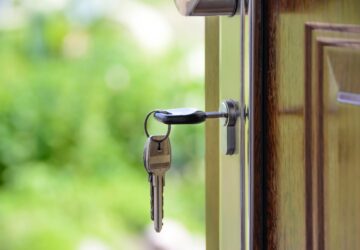 pexels-photomix-company-101808(1)