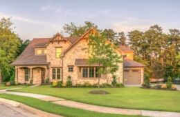 pexels-pixabay-259593